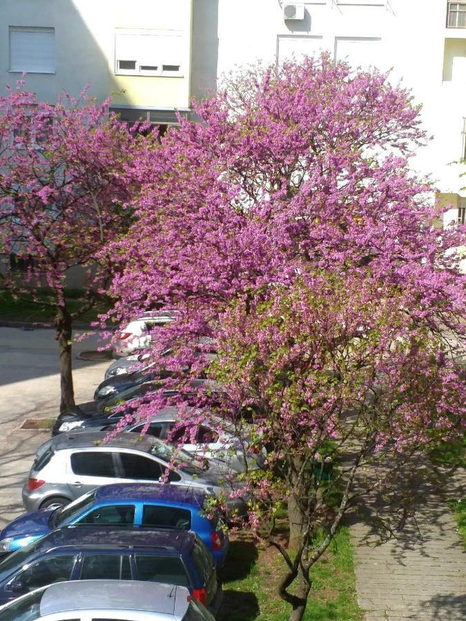 Apartman Simple Mostar Zewnętrze zdjęcie